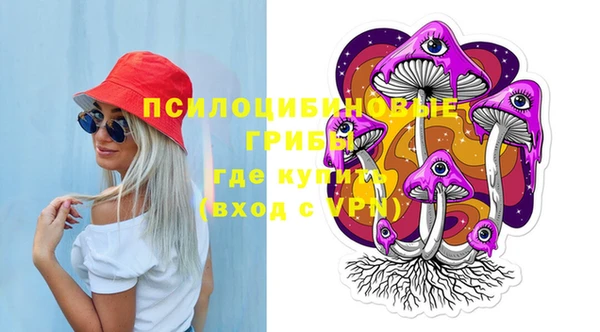 винт Наволоки