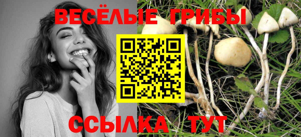 Псилоцибиновые грибы GOLDEN TEACHER  Вход с VPN  Галлюциногенные грибы ЛСД  Кандалакша 